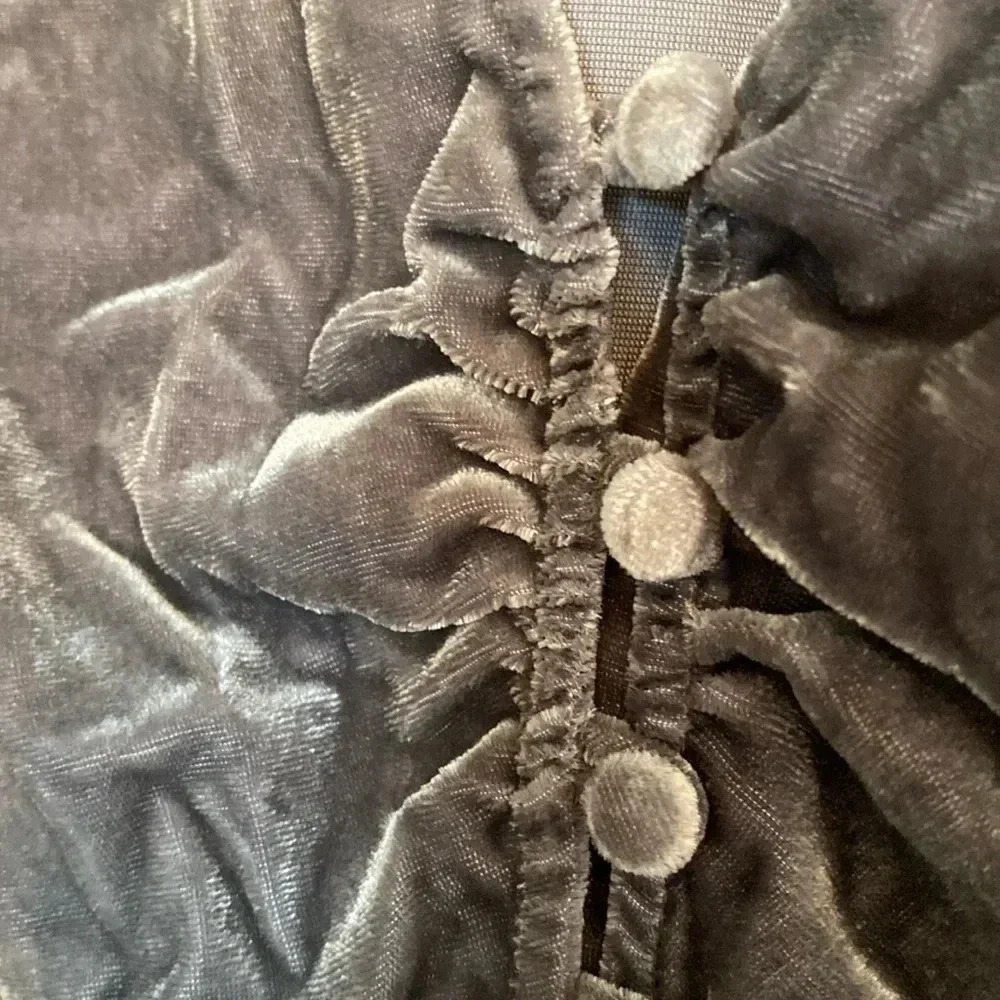 Pewter grey velvet Madewell top